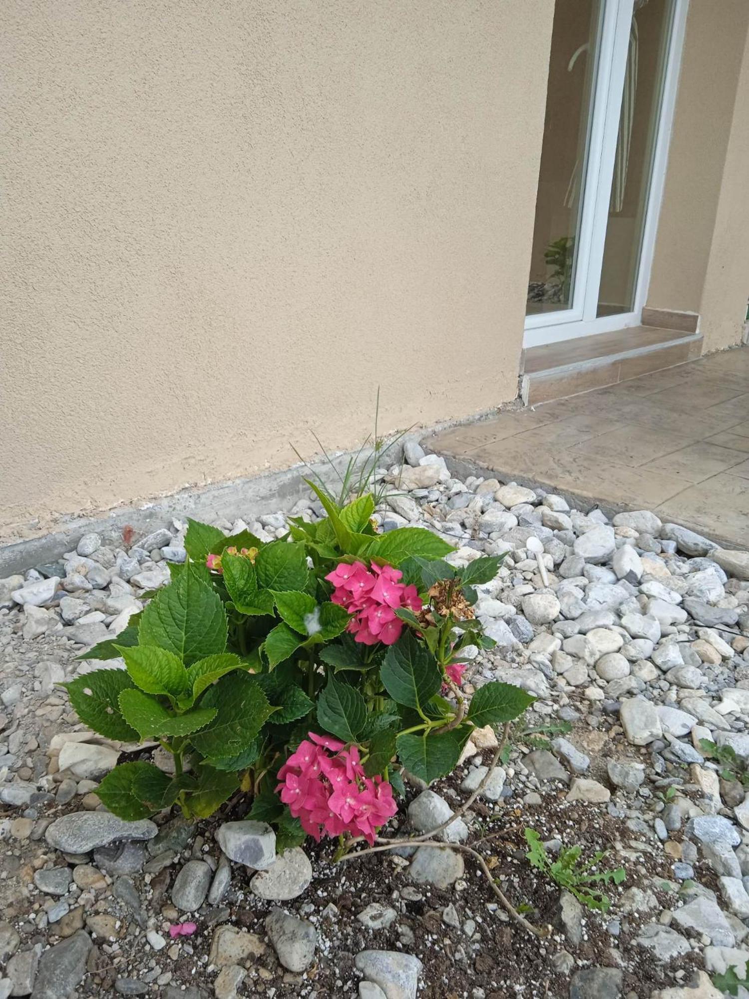 Apartment Sylias Village Skala Korinou